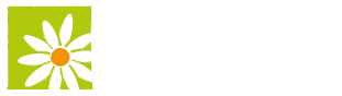Margarethen Volksschule 39